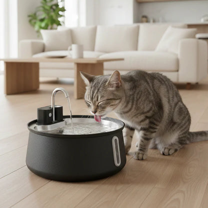 cat spout
