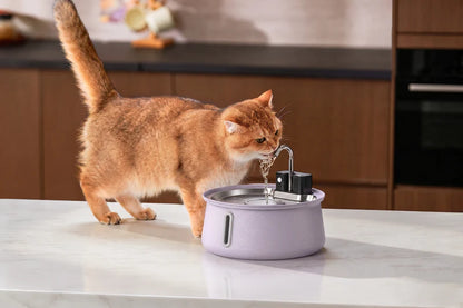 cat spout